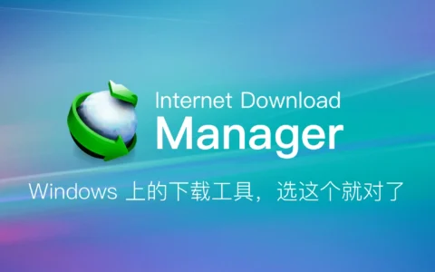 下载神器：Internet Download Manager 6.42.29 绿色特别版 (IDM)