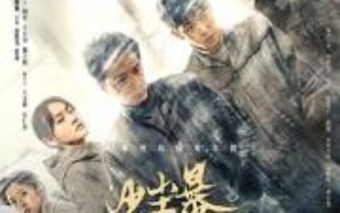 [BT下载]《沙尘暴》2025 全12集 #段奕宏 #王锵 #张佳宁 #张瑶