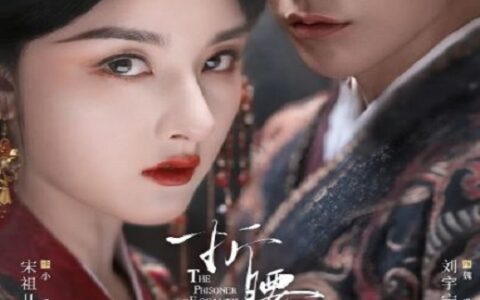 [BT下载]《折腰》2025 全36集 #宋祖儿 #刘宇宁 #宣璐 #刘端端 #刘晓庆
