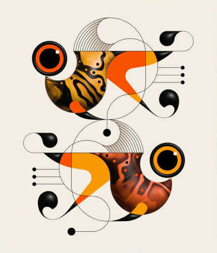 Adobe Illustrator 2025