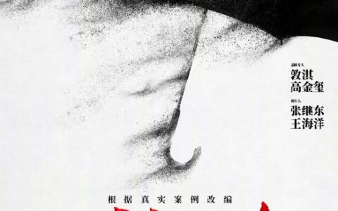 [BT下载][以法之名]2025[更新至第20集] #张译 #李光洁 #蒋欣 #刘佳 #冯嘉怡