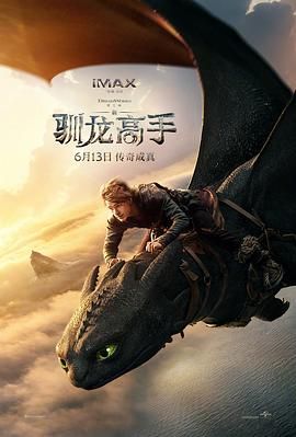 驯龙高手海报