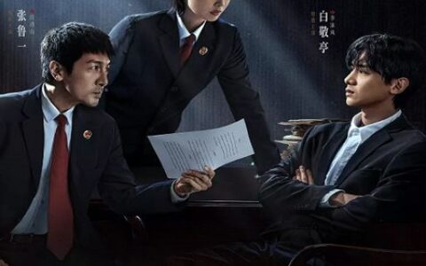 [BT下载][正当防卫]2025[更新至第11集] #高叶 #张鲁一 #白敬亭 #张歆艺