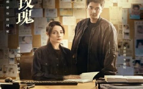 [BT下载][利剑·玫瑰]2025[更新至第12集] #迪丽热巴 #金世佳 #尤勇智 #李智 #王艺哲
