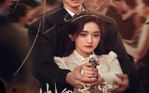 [BT下载][她的盛宴]2025[更新至第13集] #何泓姗 #谢彬彬 #林泽辉 #郑淳璟