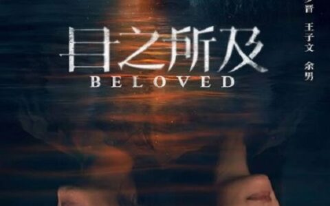 [BT下载][目之所及]2025[更新至第10集] #罗晋 #王子文 #余男 #陈瑾 #艾丽娅