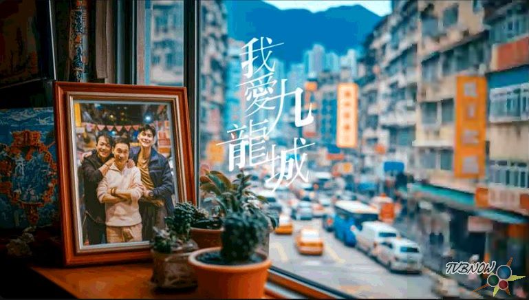 《我爱九龙城》海报