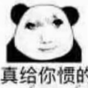 XGntsl的头像